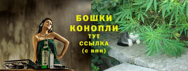 винт Туринск