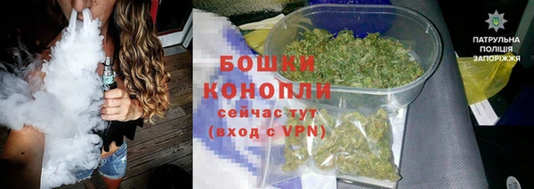 гидра Нея