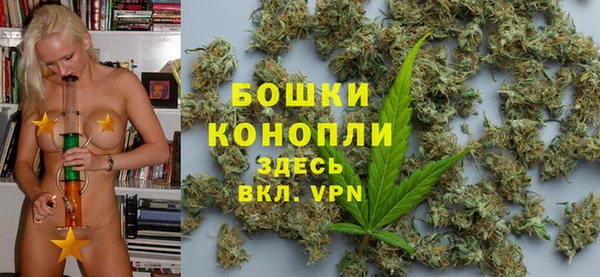 гидра Нея