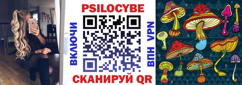Псилоцибиновые грибы Psilocybe  Батайск 